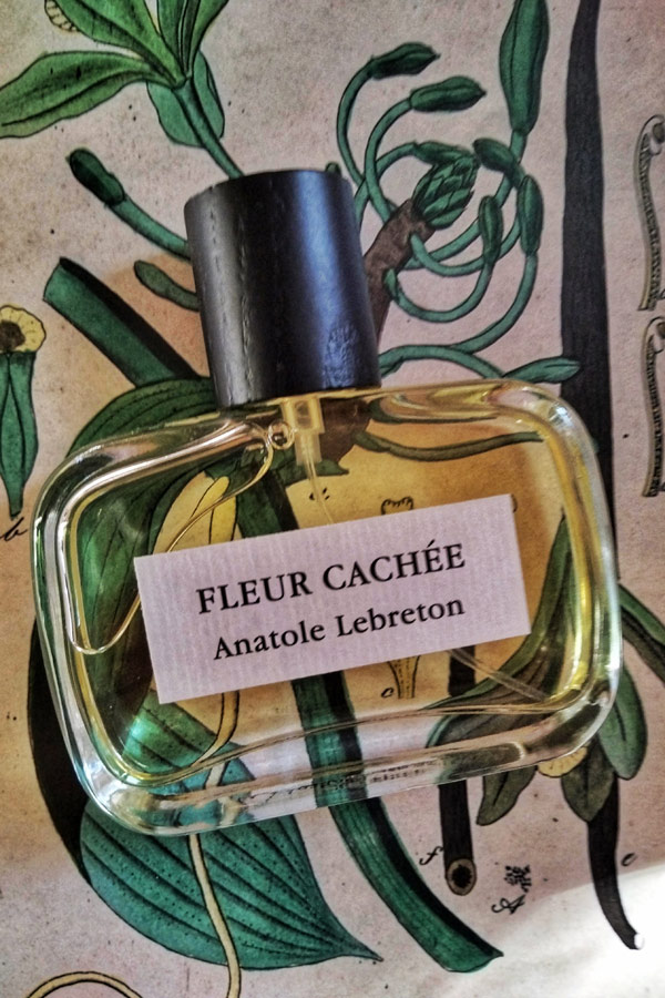 Parfum Fleur cachée Anatole Lebreton